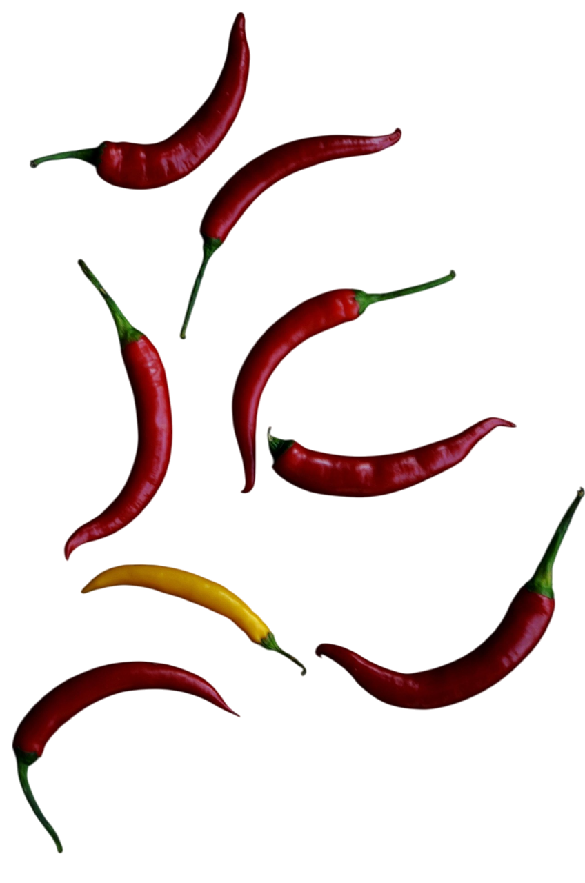  rich and flavorful dish made with a blend of multiple chiles, delivering deep, smoky, and spicy notes